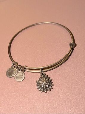 Alex and Ani Snowflake Charm Expandable Wire Bangle Bracelet | Rafaelian Silver